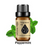 Fragrance Oil Gardenia Chocolate .Milk .Jasmine. Orange .Coconut .Cucumber. Lotus .Peppermint Patchouli Oil