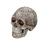Creative Resin Plum Blossoms Craft Skull Sculpture Statue