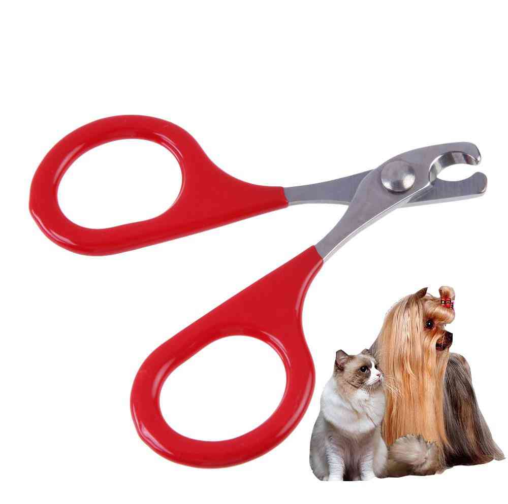Professional Pet Dog / Cat / Puppy Nail Clippers - Toe Claw Scissors, Trimmer, Pet Grooming