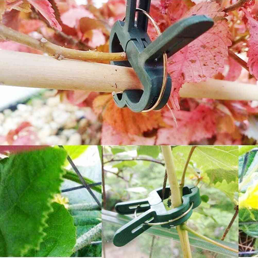 20pcs Fastener Greenhouse Bracket Pole Fixed Clamp Plants Flower - Seedling Stem Support Plant Grafting Stakes Connector Clip