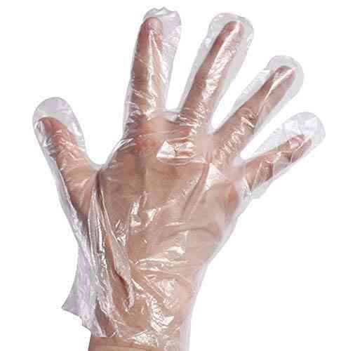 100 Pcs Plastic Disposable Sanitary Gloves - Edible Disposable  Gloves