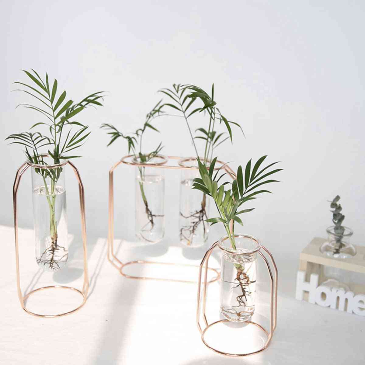 Nordic Golden Glass Vase - Iron Hydroponic Plant Tabletop Flower Holder
