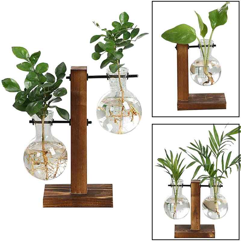 Terrarium Hydroponic Plant Vases Vintage Flower Pot, Transparent Vase