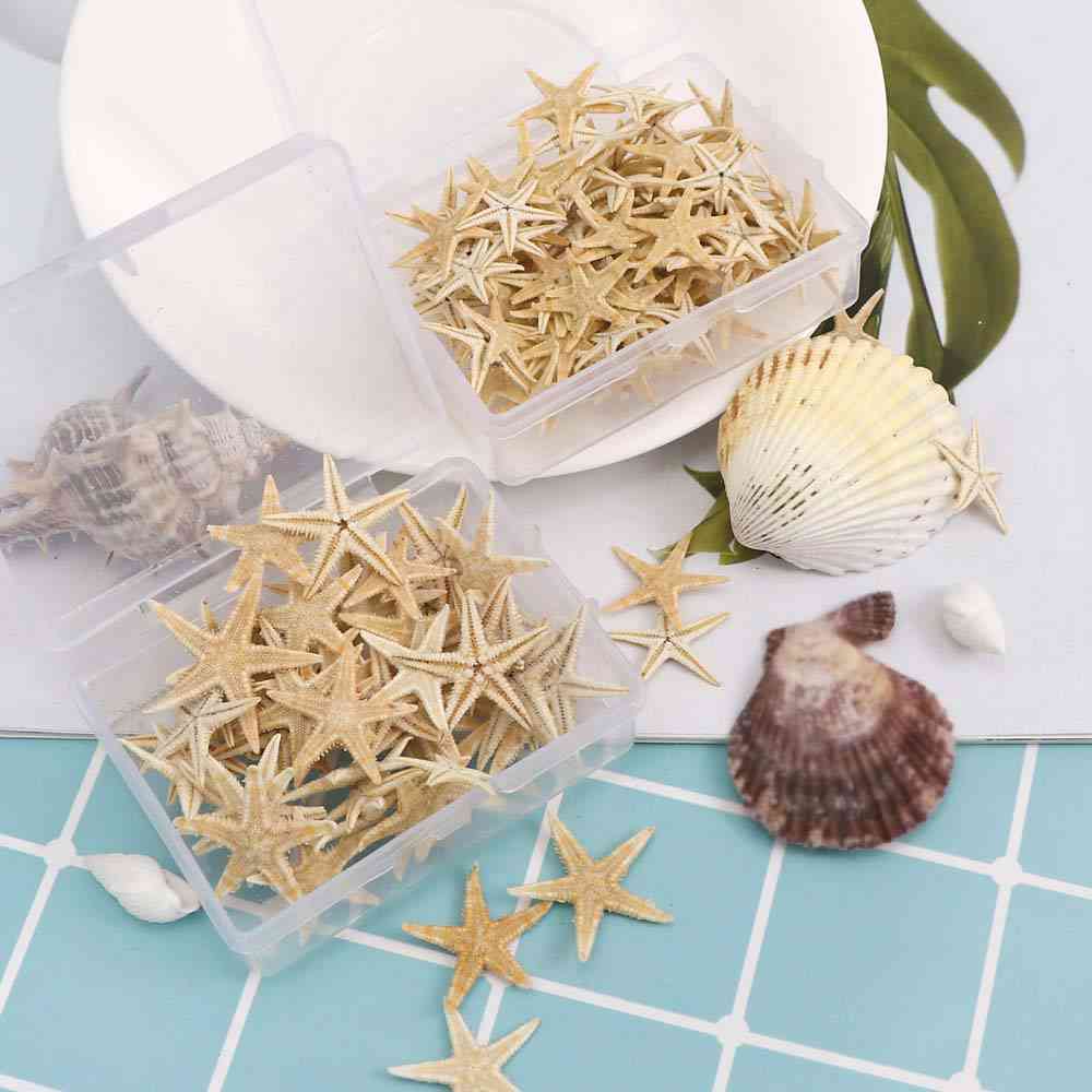 Natural Beach Craft Starfish Seashell - Natural Sea Stars Diy Beach Wedding Decoration Crafts