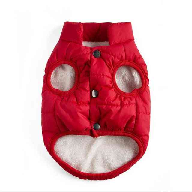 Téli meleg kabátok és dzsekik kis kutyáknak - ruházat és ruházat kisállat számára
