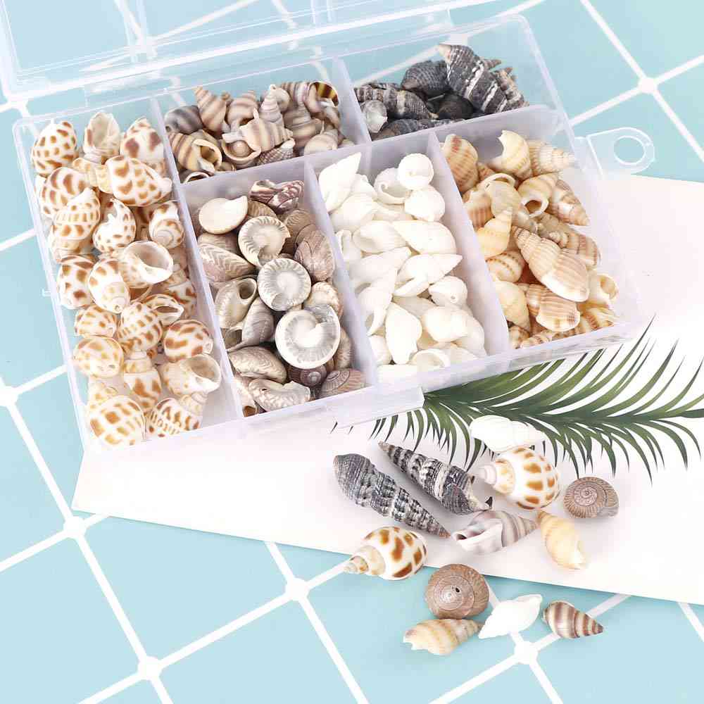 Natural Conch Shells, Mini Conch Corn Screw - Diy Aquarium Landscape Seashells Crafts Party Decor