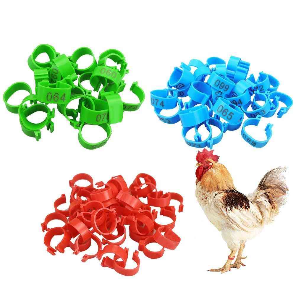 Chicken Leg Bands 100pcs - Chicken Poultry, Pigeon, Geese, Quail, Bird Rings Carry Tools, Feeding Number Tag