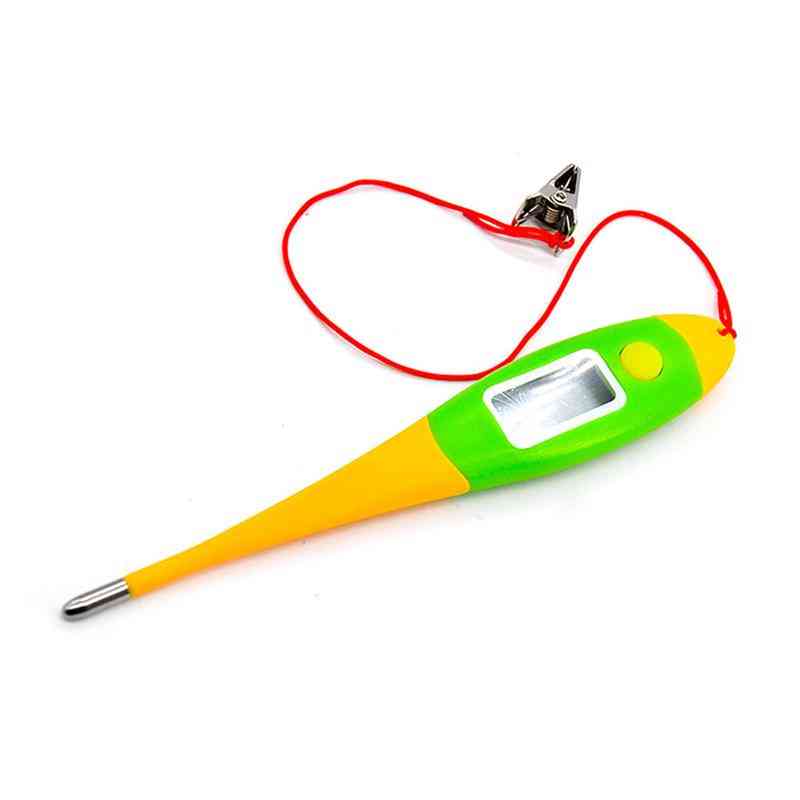 Professional Digital Thermometers For Pets