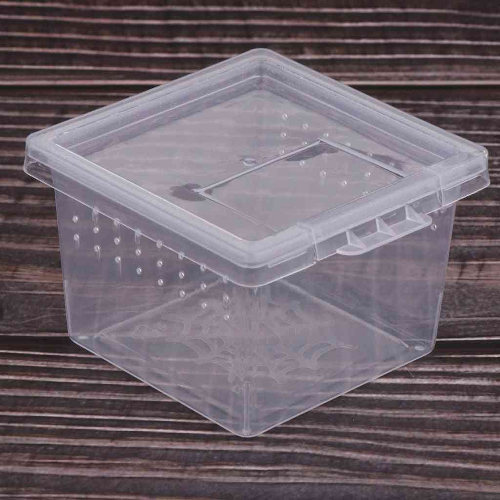 Reptile Feeding Box -  Terrariums Container