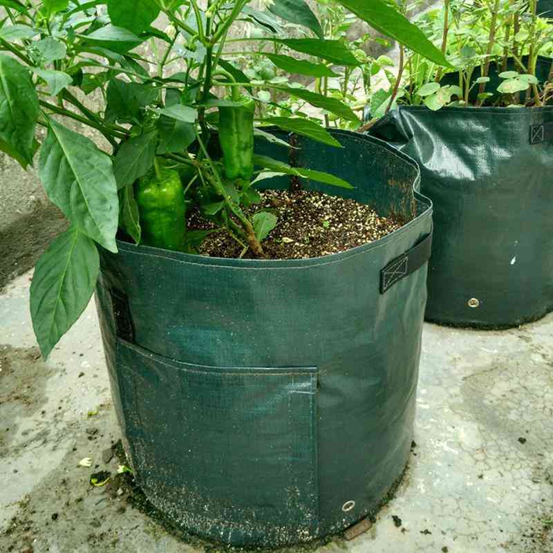 Pěstování brambor výsadba zahradních nádob - rostliny taška na pěstování zeleniny pro farmu, dům a zahradu