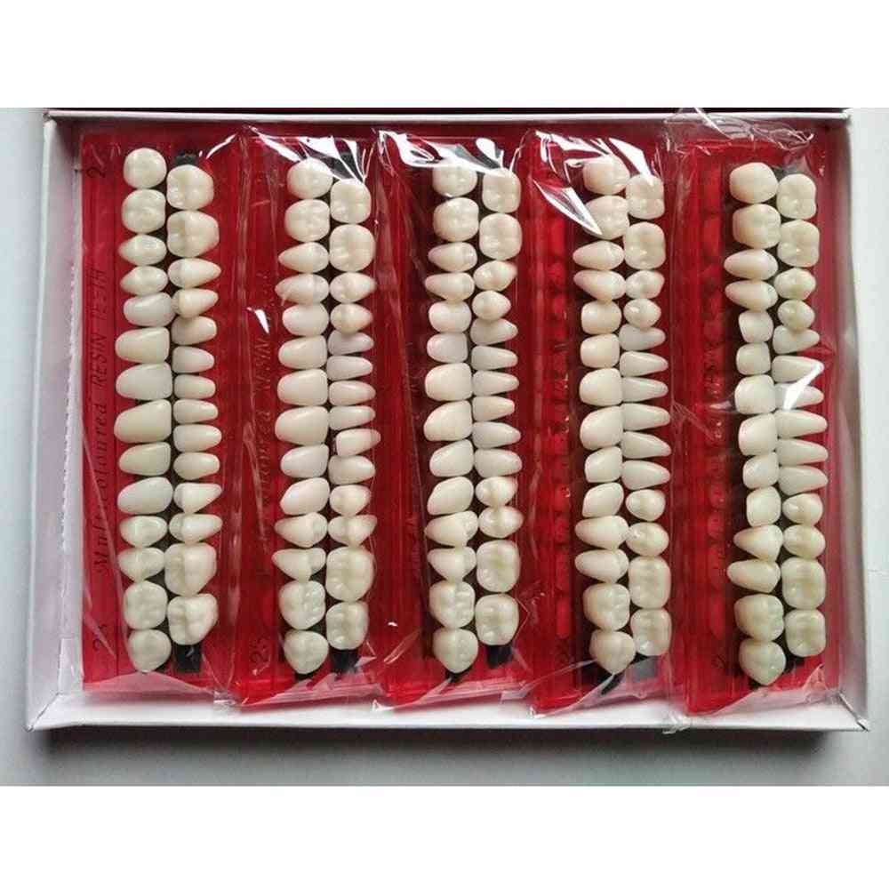 10sets pro стоматологичен пластмасов модел за обучение на зъби - специален зъбен материал за зъби, полезен инструмент за грижа за зъбите
