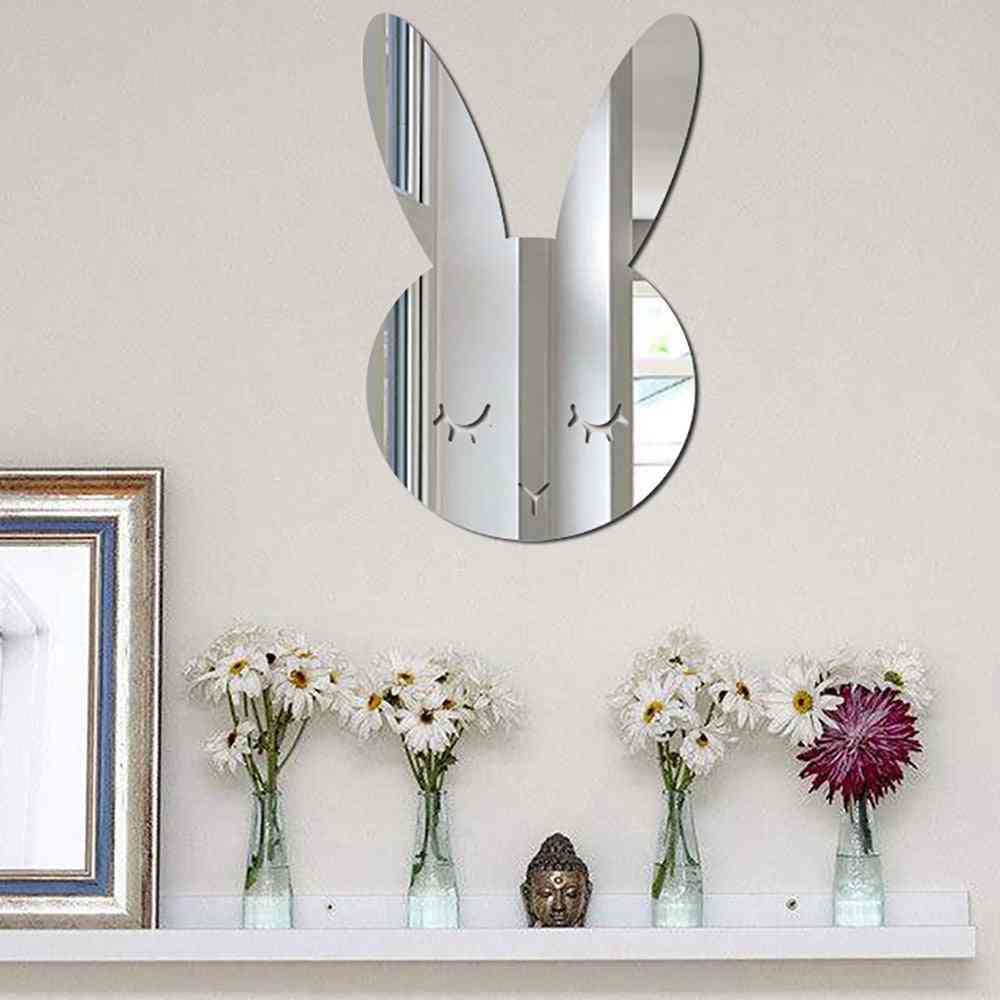 Severské akrylové zrcadlo - karikatury fotoaparátů a dekorace na zeď v místnosti