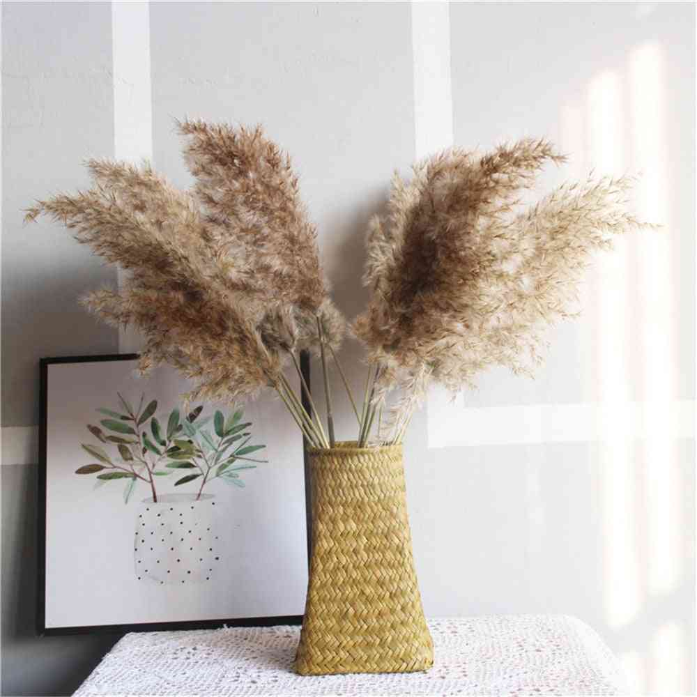 Prawdziwe suszone pampasy trawa dekor ślubny bukiet kwiatów - naturalny wystrój roślin - 30szt małe pampasy / m