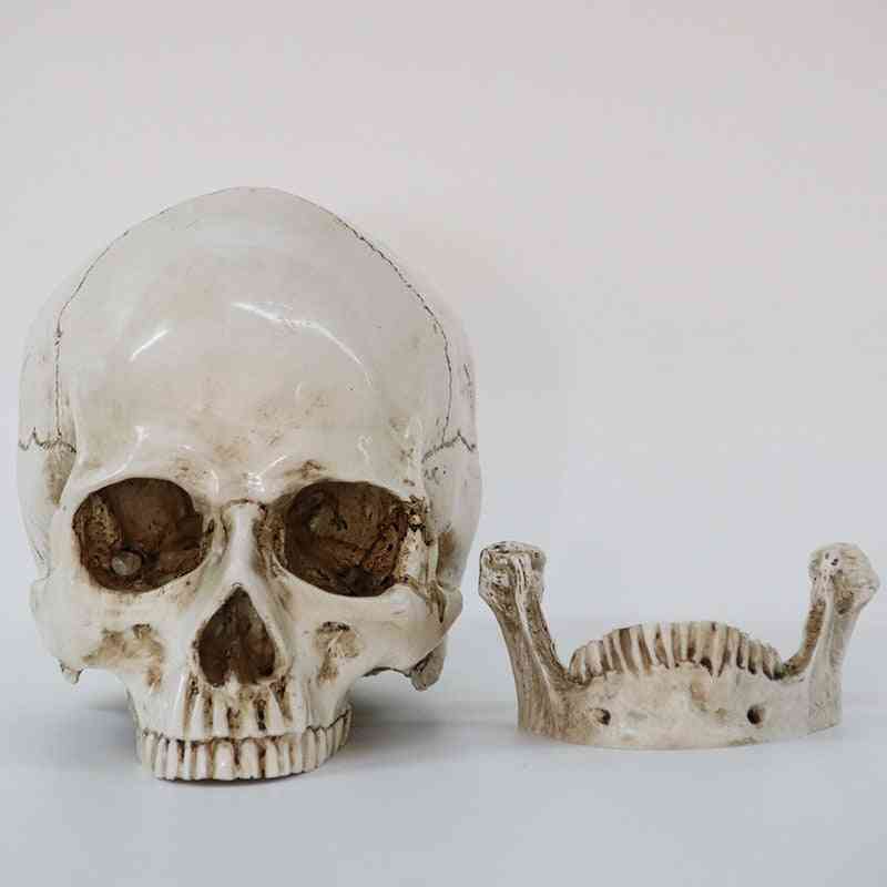 Creative Resin Skull Model Life Replica Sculpture Halloween Home Decor