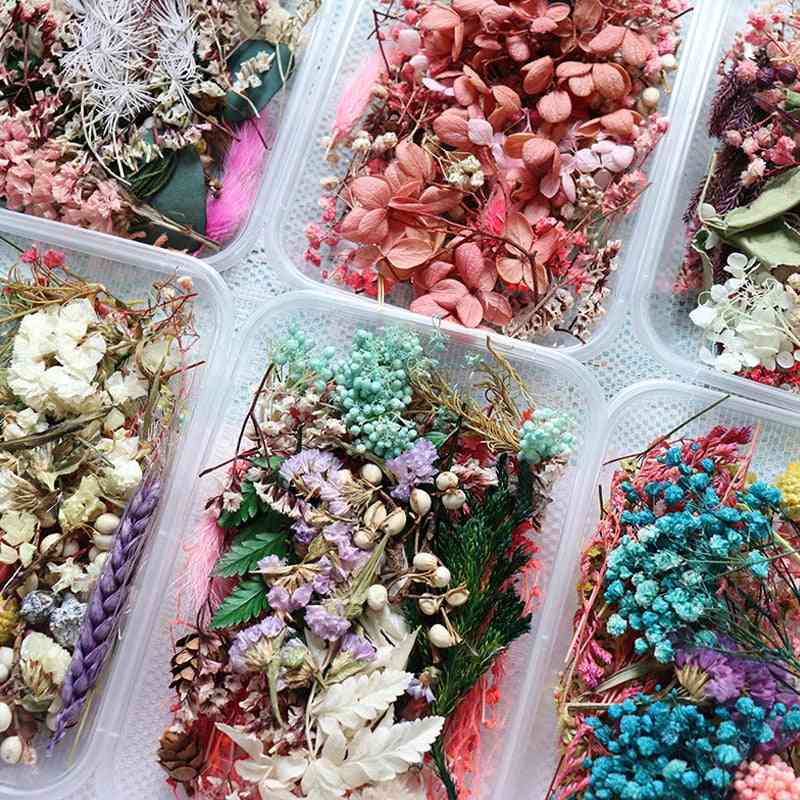 Real Dried Flower For Aromatherapy , Candle, Soap Making And Epoxy Resin Jewelry