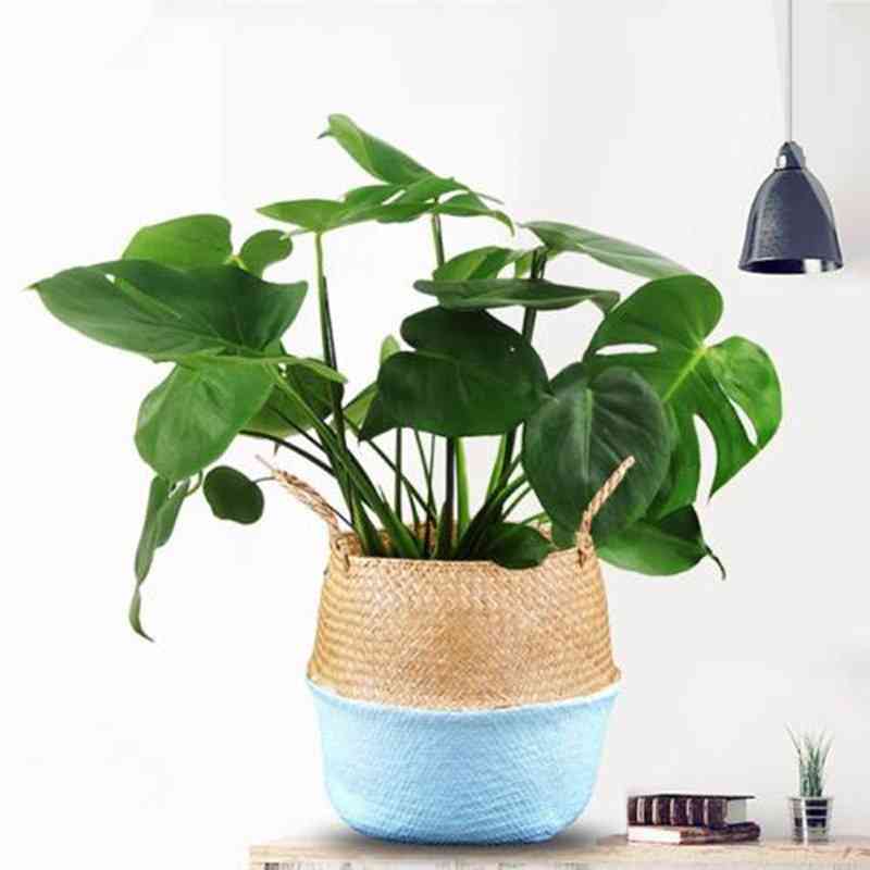 Rattan Straw Seagrasss Folding Hanging Basket, Flower Pot, Vase For Home Garden