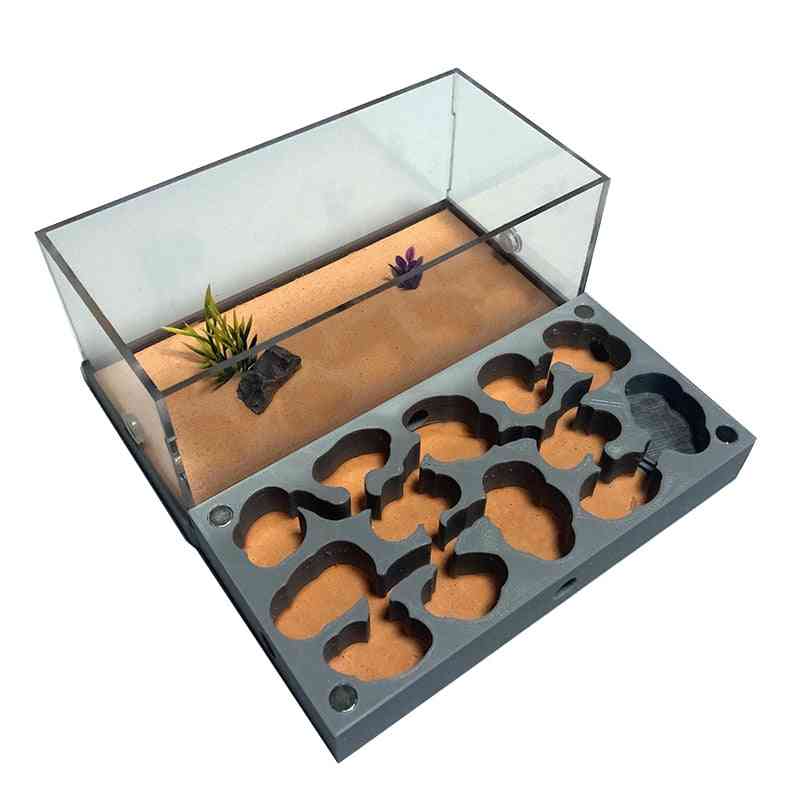 3d Acryl Flat Ant Farm Ecological Ant Nest With Feeding Area - Concrete Ant House Pet Anthill Workshop Moisturizing Water Pool