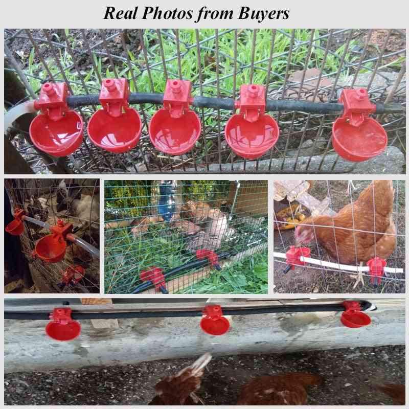 Posude za pitku vodu za piletinu / kokoši - opskrba životinja za uzgoj peradi