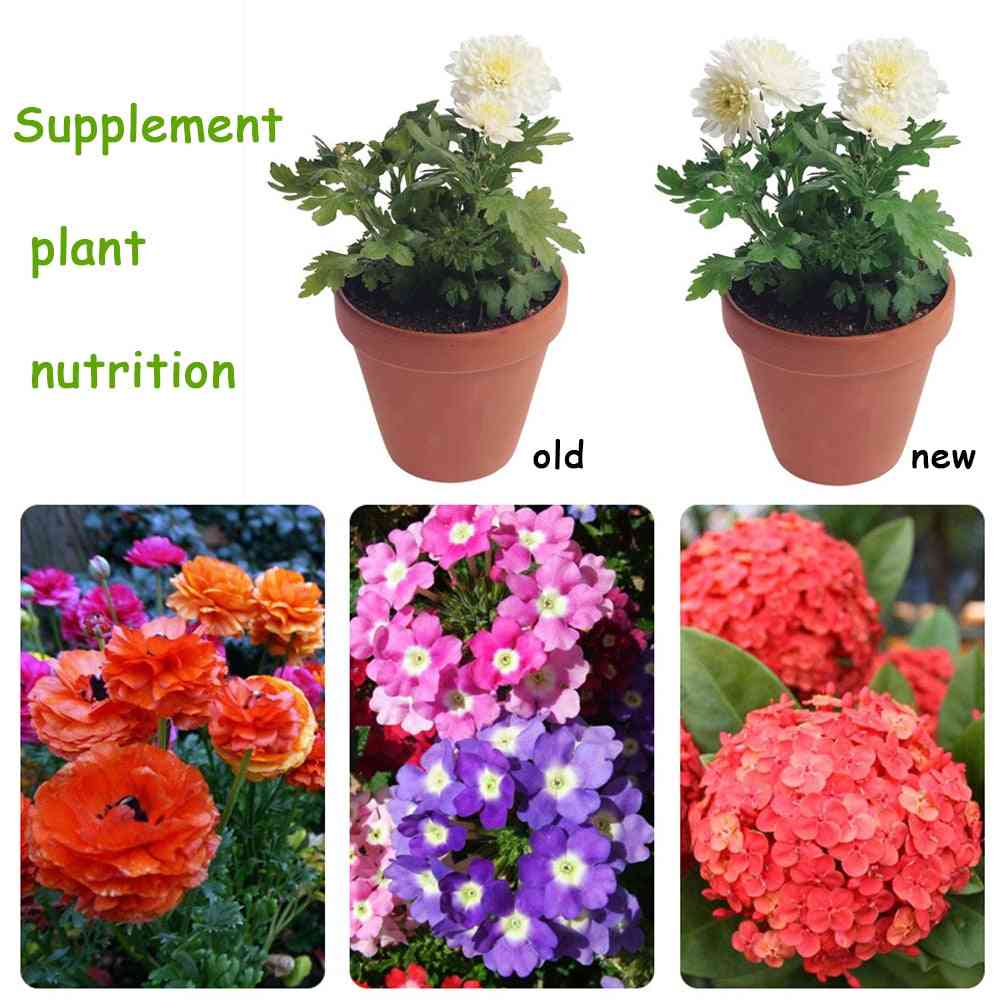 Organischer Dünger 10g - Allzweck-sicherer und umweltfreundlicher Gebrauch von Blumenpflanzenfutter für Gartenbonsai -
