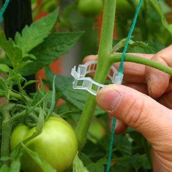 Plant Support Clips For Greenhouse Vegetables / Plants Protection Or Hanging