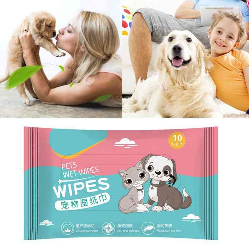Papieren handdoeken voor huisdieren, vochtige doekjes om vlekken te verwijderen -