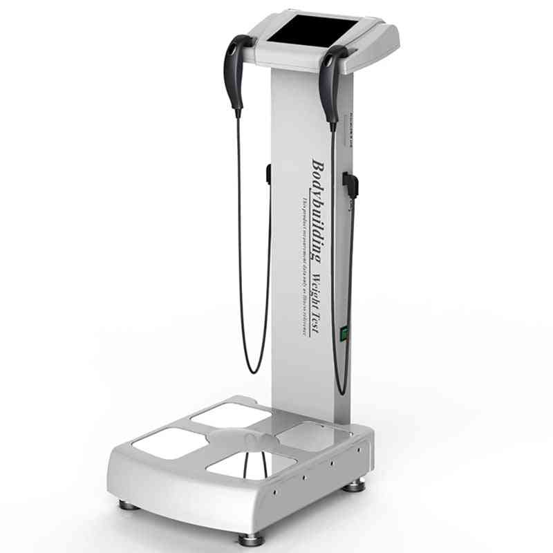 Human Body Elements Analyzer, Fat Test Weight Control With A4 Printer