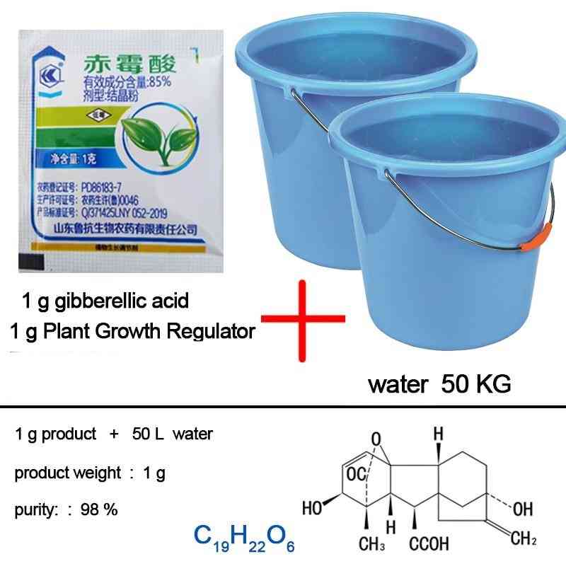 Concentrat acid giberelic crește îngrășământul pentru creșterea plantelor