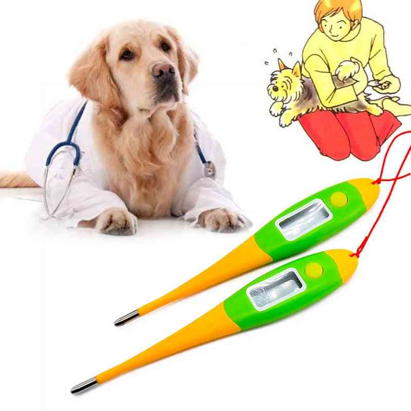 No Mercury Digital Electronic Thermometer For Pet Dogs, Cat Animals