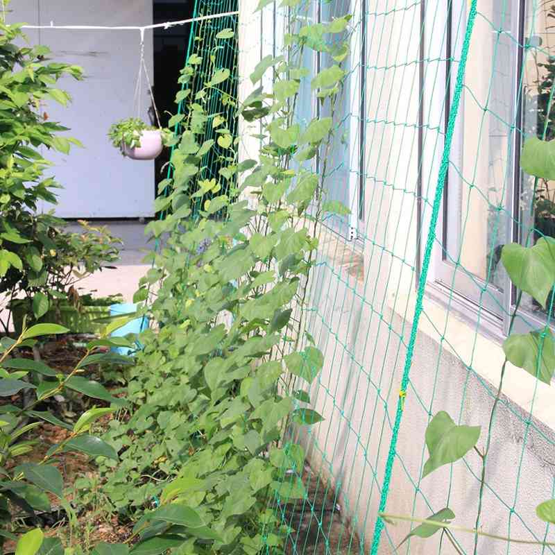 Garden Plants Climbing Net - Plastic & Nylon Net Morning Glory Flower Vine