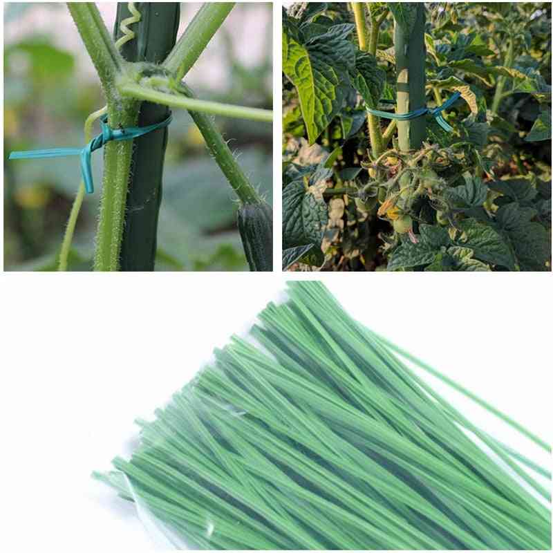 Grønt hagearbeid, klatreplanter for vintreet kabelbindelinjer - 100mm / grønt