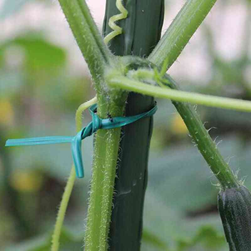 Green Gardening, Vine Climbing Plants Cable Tie Lines