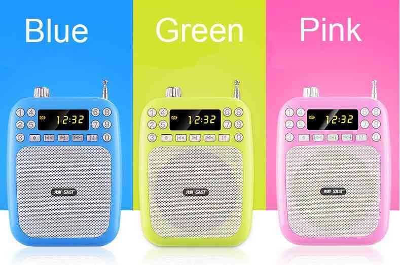 Portable Speaker With Fm Radio And Support Tf Memory Card