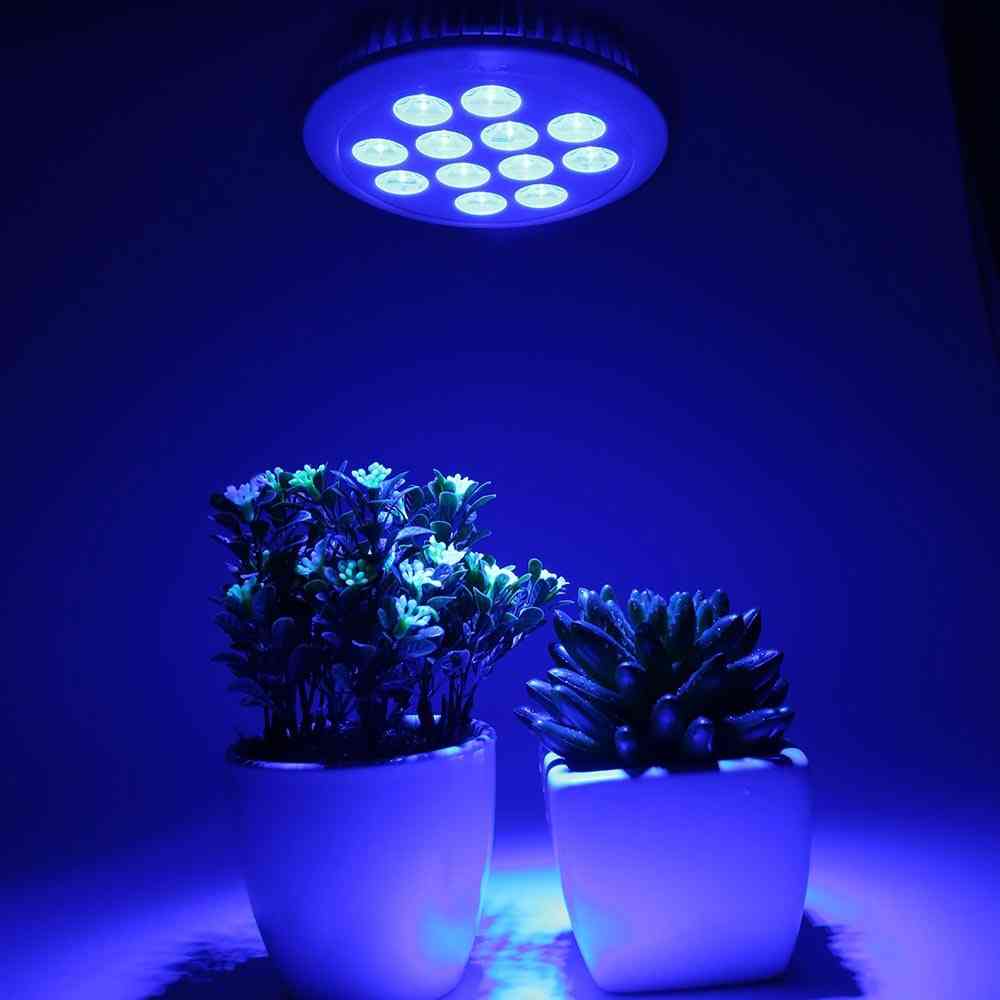 Led Grow Plant Light Bulb
