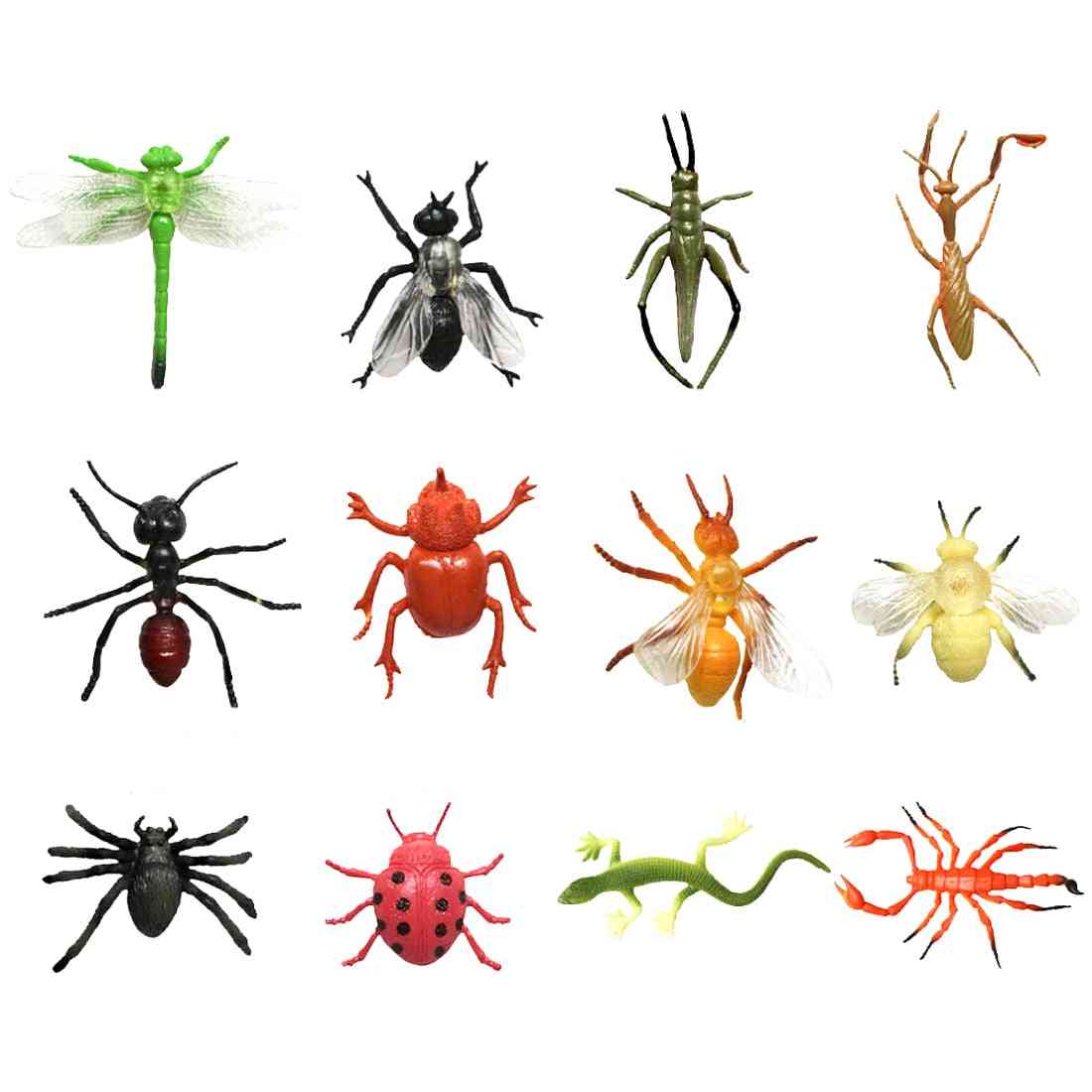 Classic Biology Science Insect Model Kit Educational
