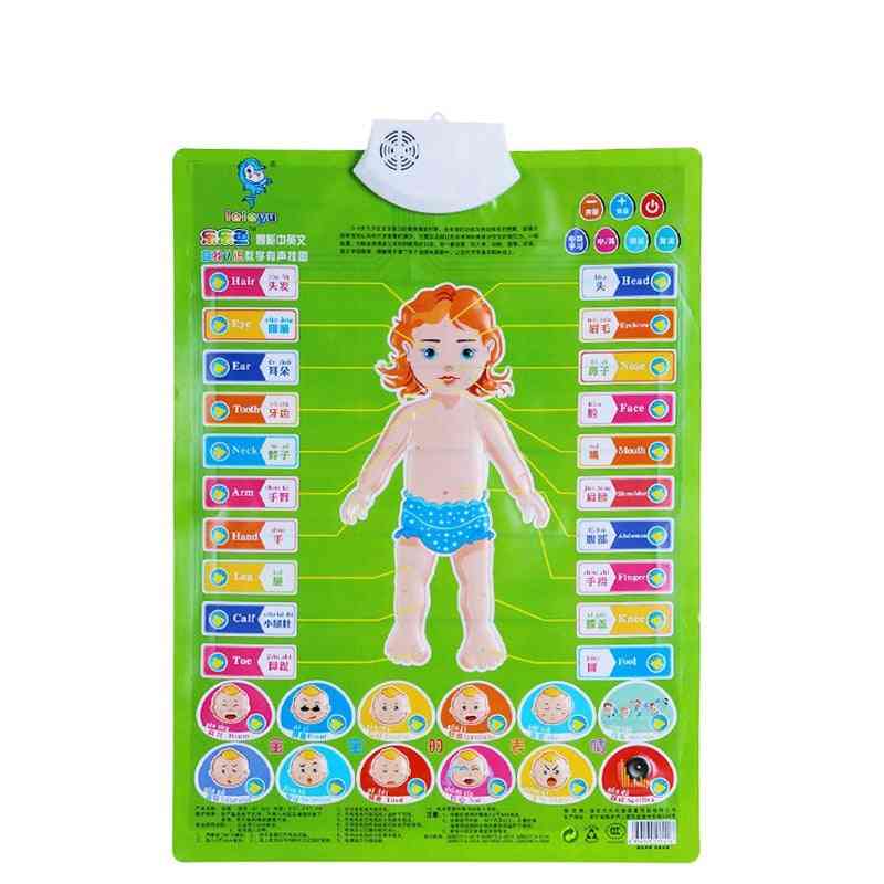 Læringsmaskine lyd væg diagram elektronisk alfabet engelsk børnehave legetøj, digital baby kid pædagogisk legetøj - 1