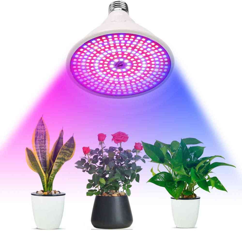 Led žarnica za rastline v zaprtih prostorih - vrtni svetilki s polnim spektrom okrasite