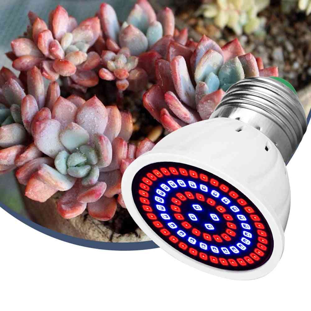 Żarówka led do uprawy do roślin domowych, lampa o pełnym spektrum do dekoracji ogrodu - 48 led 220v / e27