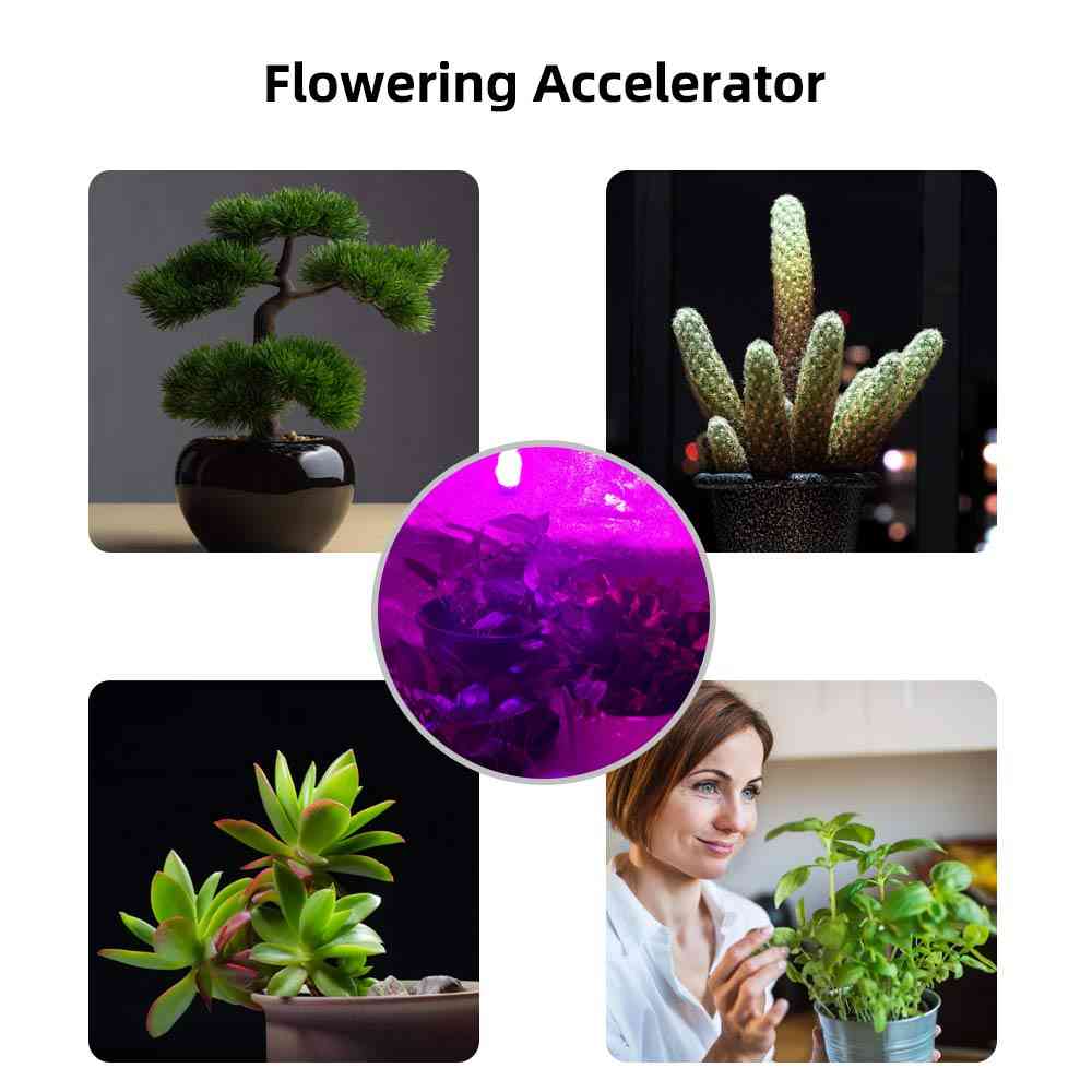 żarówka z żarnikiem led - lampa wzrostu roślin do uprawy w szklarni
