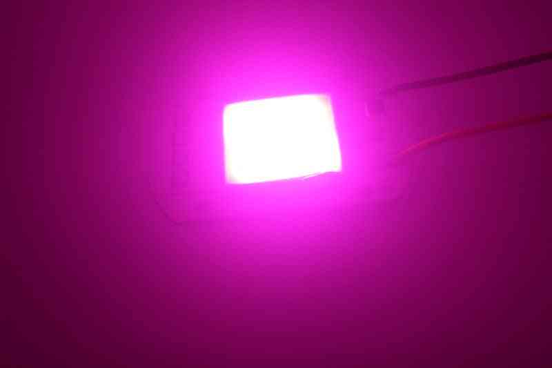 Led cob volledige spectrum chip 20w 30w 50w ac220v / 110v plant licht groeien led