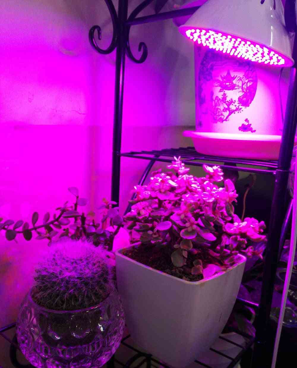 Full Spectrum, Plant Grow Led Light Bulbs