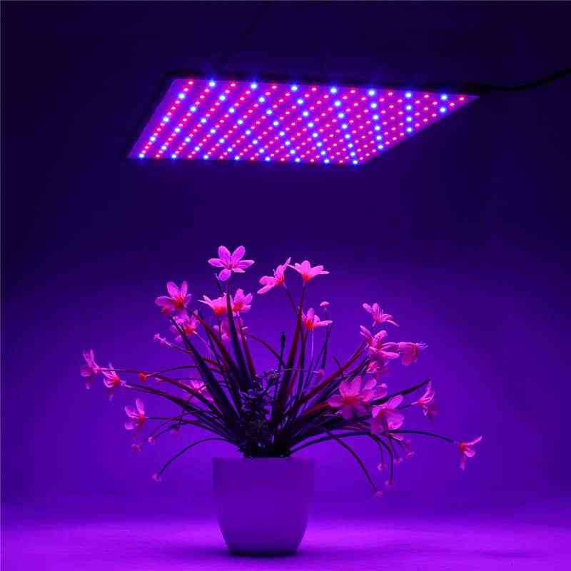 1500W led-groeilamp voor planten, led-groeilicht met volledig spectrum fytolamp Fitolampy indoor kruiden licht voor kas - type 1 / US-stekker