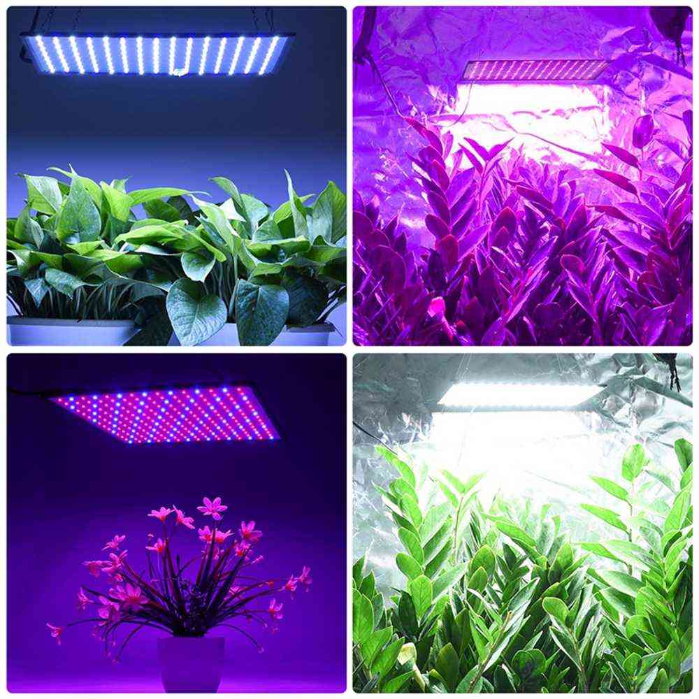 1500w LED-Wachstumslampe für Pflanzen, LED-Wachstumslicht-Vollspektrum-Phyto-Lampe fitolampy Innenkräuterlicht für Gewächshaus - Typ 1 / us-Stecker