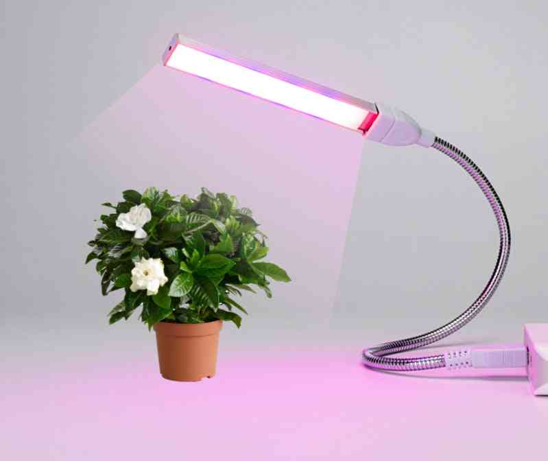 Usb Led Grow Light Full Spectrum 3w/5w Dc 5v Fitolampy For Greenhouse Vegetable Seedling, Plant Lighting Ir Uv Growing Phyto Lamp