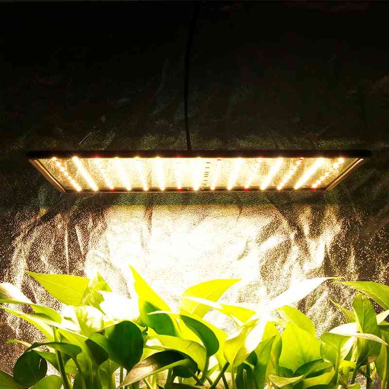 Indoor Led 1000w 3500k Grow Light - Panel Full Spectrum Phyto Lamp