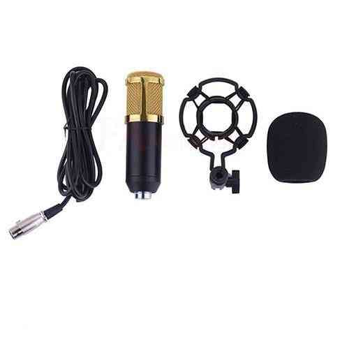 Condenser Sound Recording Microphone With Shock Mount For Radio