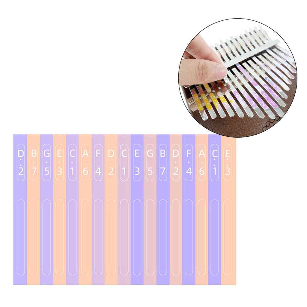 Scale Key Sticker Percussion Parts Accessories For Learner Musical Instrument Kit