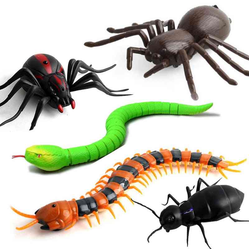 Rc Remote Control Animal Toy Kit, Smart Cockroach, Spider, Snake, Ant & Insect