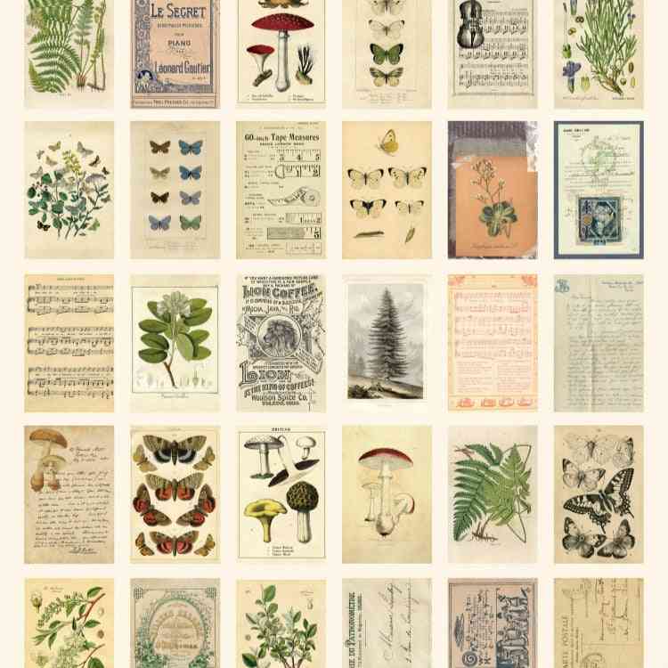 30 Stück / Box alte Waldtiere Pflanzen Probe Postkarte Gruß Geschenkkarten