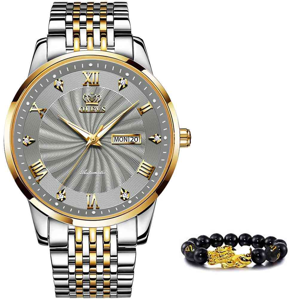 Top Brand Luxury Automatic Watch Sport Stainless Steel Waterproof Watch