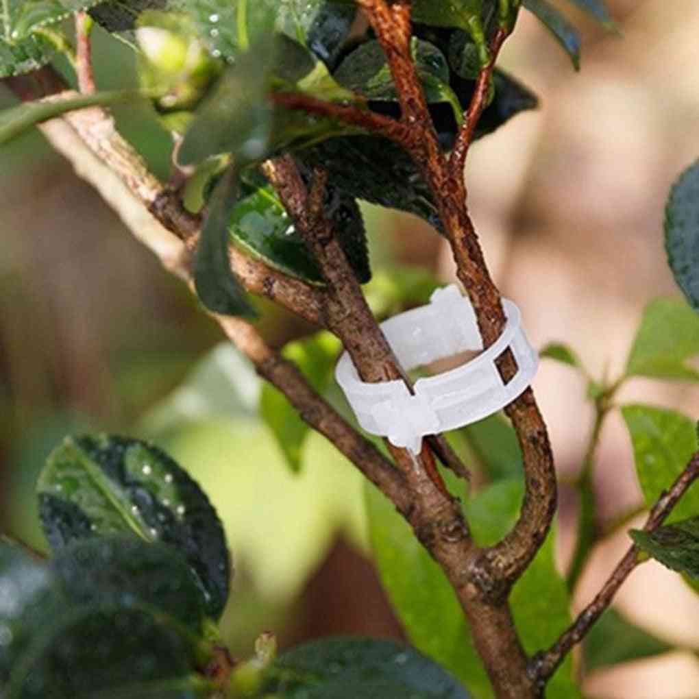 Muluna herbruikbare plastic plantendragers